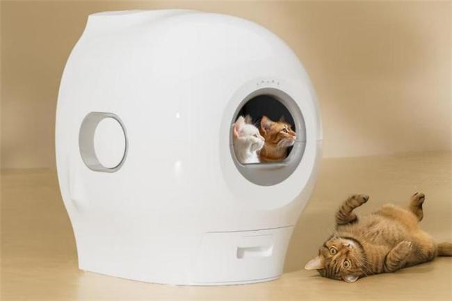 pg电子游戏官方网站从冲水猫马桶到清洁陪伴机器人走进宠咕咕智